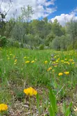 Vente villa Cotignac IMG_6355 