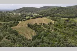 Vente propriété Lorgues Drone 12 