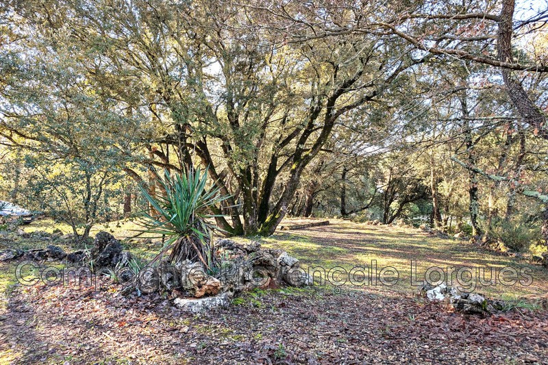 Photo n°23 - Vente maison de campagne Lorgues 83510 - 599 000 €