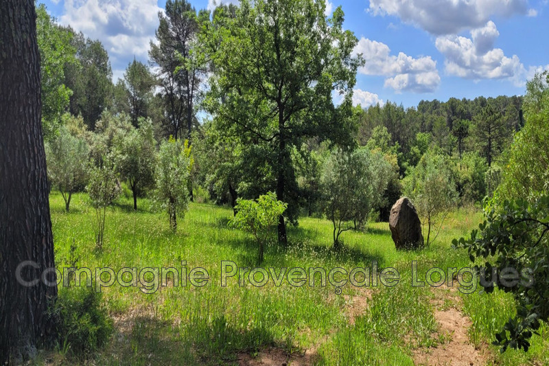 Photo n°18 - Vente maison Les Arcs 83460 - 745 000 €