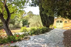 Vente maison de campagne Lorgues PXL_20250623_123752952 