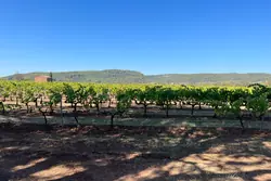 Vente bastide La Motte IMG_4783 