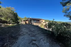 Vente maison Callas IMG_7260 