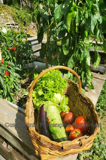 Vente maison Bargemon  