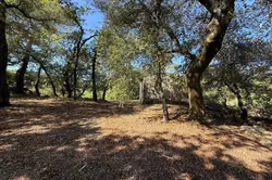 Vente maison Claviers IMG_1737 Vente maison Claviers IMG_1737