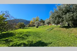 Vente maison Bargemon 20241111_113930 