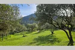 Vente maison Bargemon 20250403_172246 