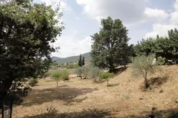 Vente villa Callas Pramberger 026 Vente villa Callas Pramberger 026