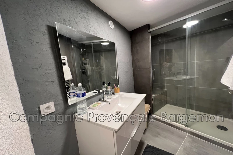 Photo n°14 - Vente maison Bargemon 83830 - 550 000 €