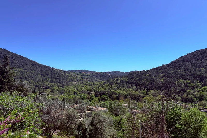 Photo n°7 - Vente maison Bargemon 83830 - 519 000 €