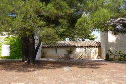 Location maison Meyreuil arriere maison.JPG 