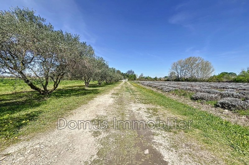 Vente maison Saint-Saturnin-lès-Avignon  