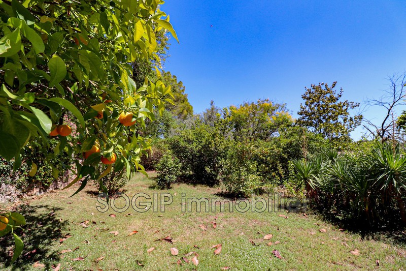 Photo n°25 - Vente Maison villa Flayosc 83780 - 890 000 €