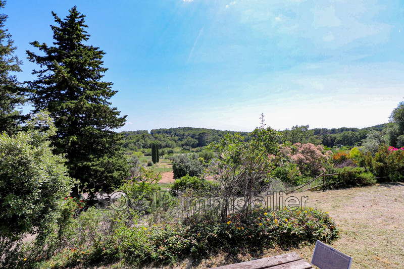 Photo n°20 - Vente Maison villa Flayosc 83780 - 399 000 €