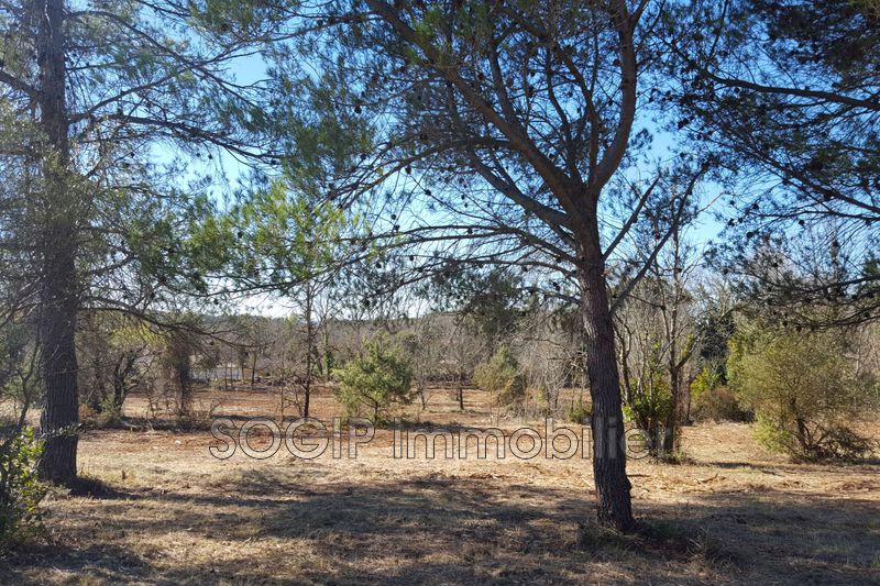 Photo Terrain Flayosc Campagne, achat terrain 5880 m²