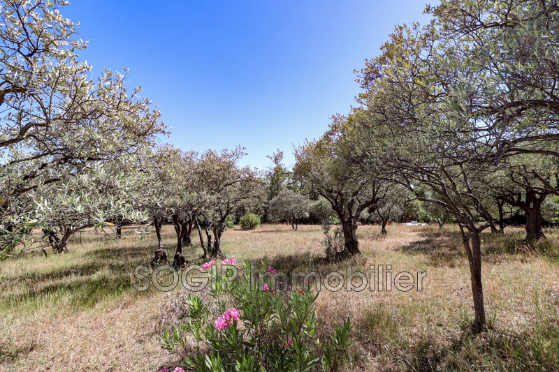 Photo n°7 - Vente terrain Flayosc 83780 - 165 000 €