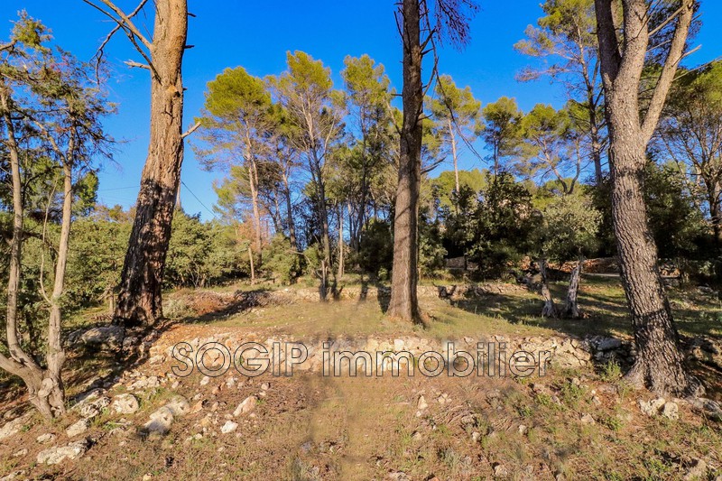 Photo n°2 - Vente terrain Flayosc 83780 - 159 000 €