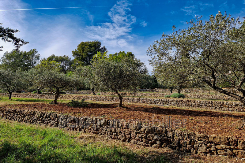 Photo n°3 - Vente terrain Flayosc 83780 - 169 000 €
