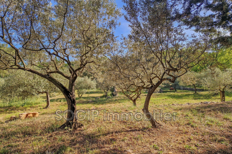 Photo n°4 - Vente terrain Flayosc 83780 - 169 000 €