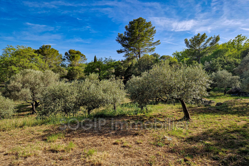Photo n°6 - Vente terrain Flayosc 83780 - 169 000 €