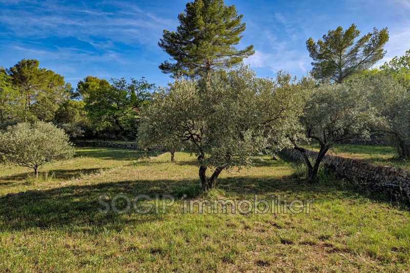 Photo n°9 - Vente terrain Flayosc 83780 - 169 000 €