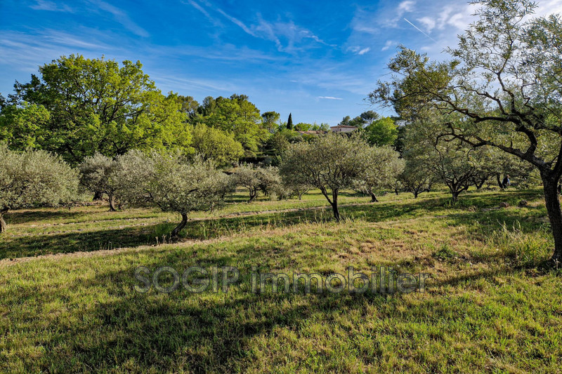 Photo n°16 - Vente terrain Flayosc 83780 - 169 000 €