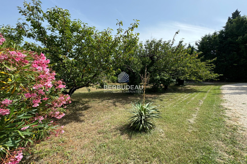 Location maison Crillon-le-Brave  