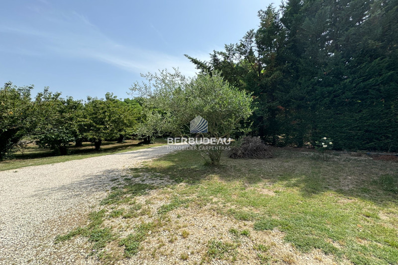 Location maison Crillon-le-Brave  