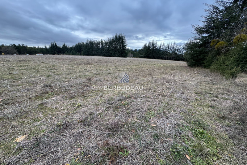Vente terrain à bâtir Sault  
