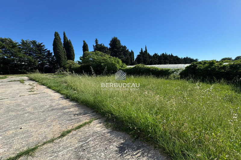 Vente terrain Aubignan  