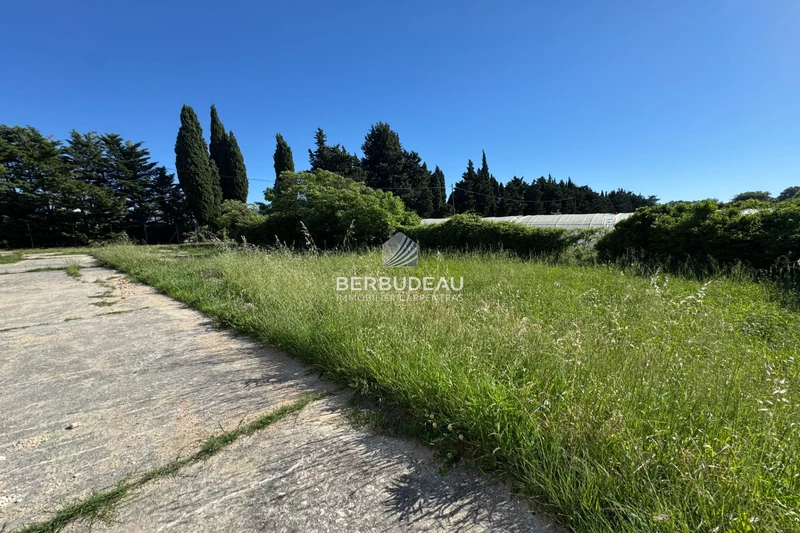 Vente terrain Aubignan  