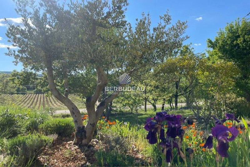 Vente maison Simiane-la-Rotonde  