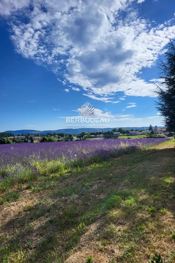 Vente moulin Revest-du-Bion  