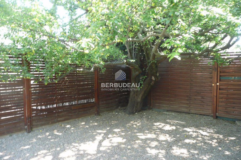 Photo Idéal investisseur Carpentras achat idéal investisseur 7 pièces 142 m²