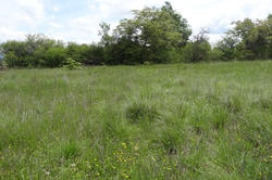Photos Terrain à vendre Sault 84390