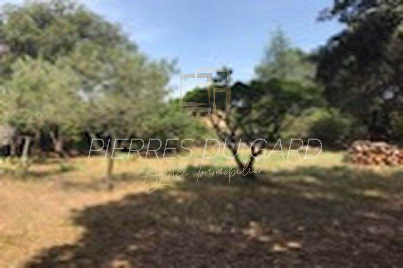 Photo Terrain Saint-Siffret achat terrain 582 m²