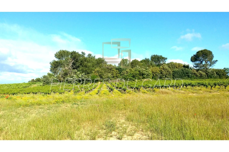 Vente domaine viticole Uzès  