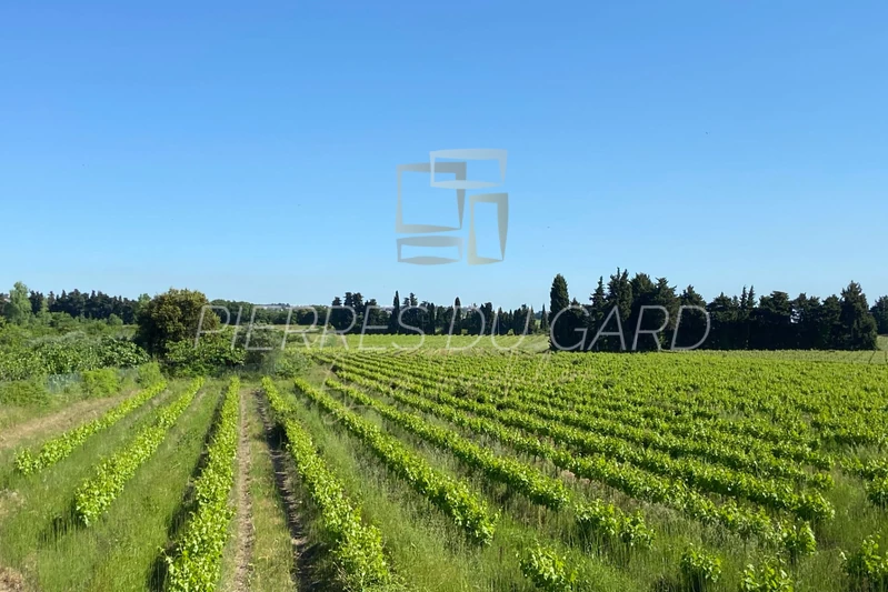 Vente maison Saze  