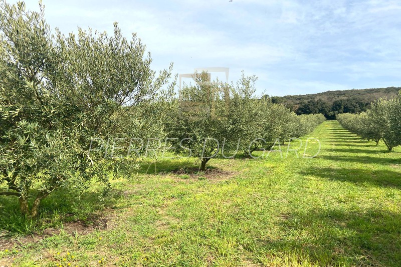 Vente terrain Saint-Maximin  