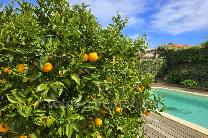 Vente villa Laroque-des-Albères  