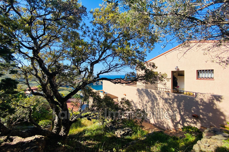 Vente villa Cerbère  