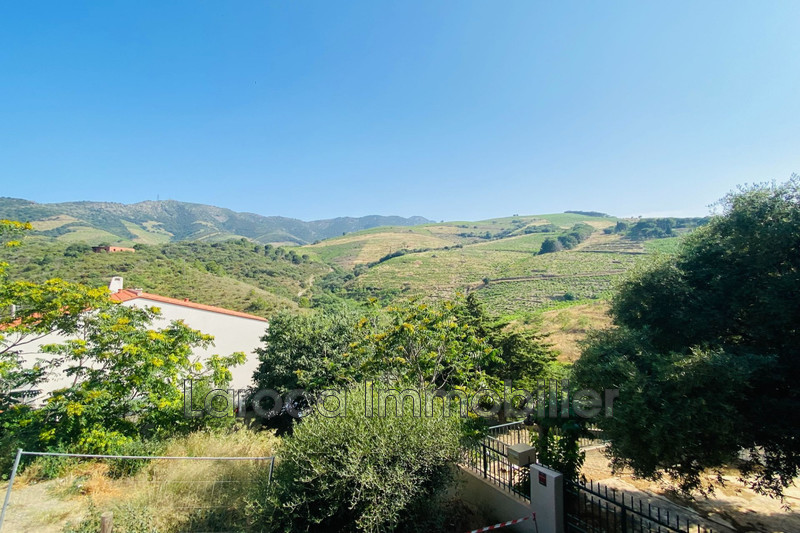 Vente mas Banyuls-sur-Mer  
