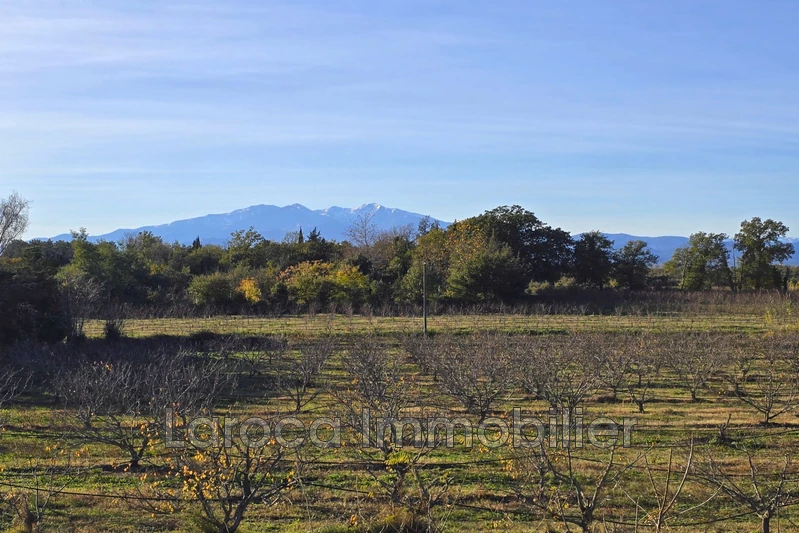 Vente villa Laroque-des-Albères  
