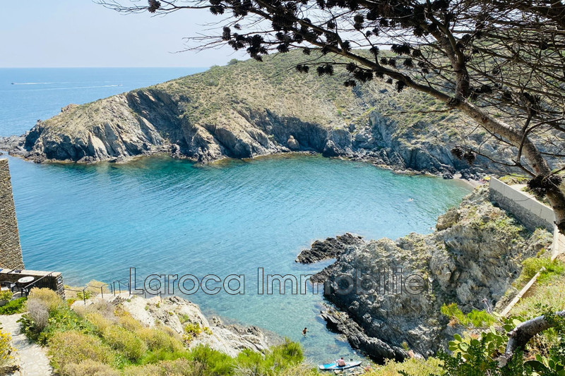 Vente appartement Banyuls-sur-Mer  