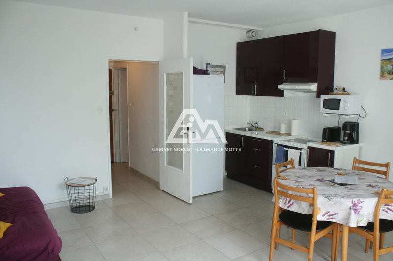 vente Appartement La grande-motte Centre ville Appartement La Grande-Motte Centre ville, Location appartement 1 pièce 33 m²