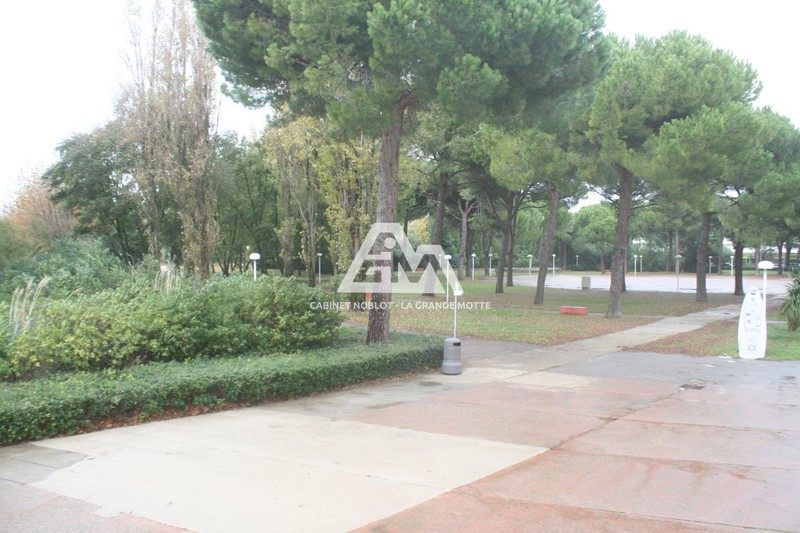 vente Appartement La grande-motte Couchant Appartement La Grande-Motte Couchant, Location appartement 1 pièce 19 m²