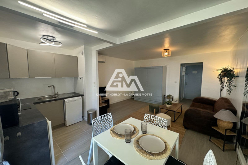 Appartement La Grande-Motte Centre ville,  Location appartement  1 pièce   26&nbsp;m&sup2;
