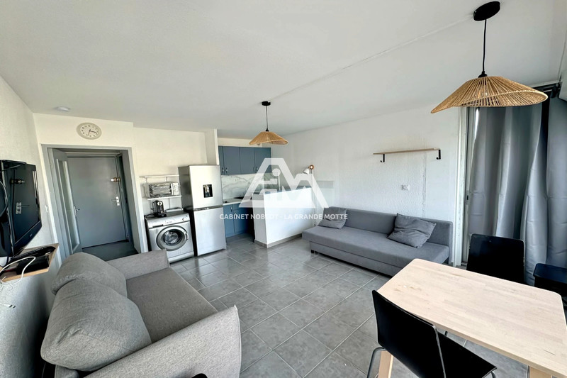 Appartement La Grande-Motte Centre ville,  Location appartement  1 pièce   25&nbsp;m&sup2;