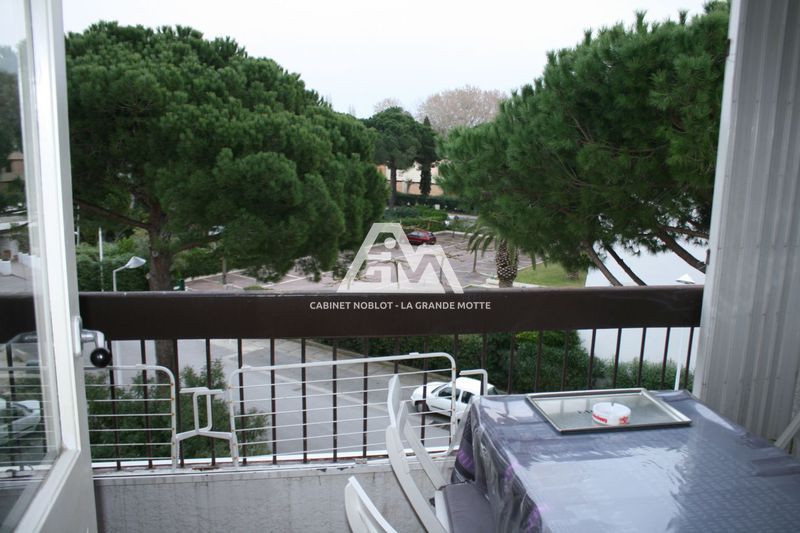 Photo Appartement La Grande-Motte Centre-ville, Location appartement 1 pièce 21 m²