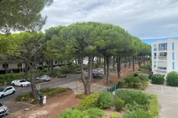 Location appartement La Grande-Motte  